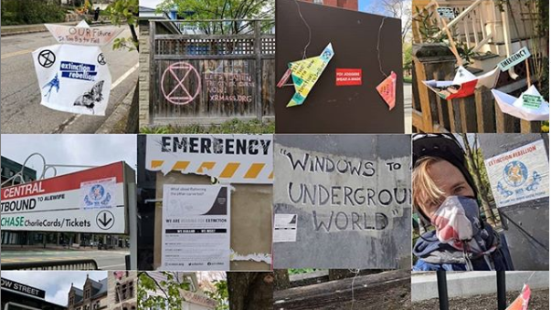 Screenshot_2020-05-30 Extinction Rebellion Boston ⌛ ( xrboston) • Instagram photos and videos.png