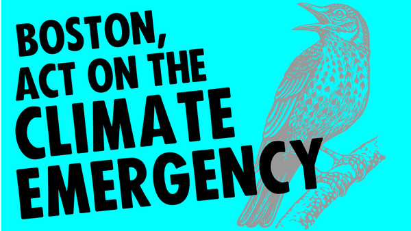 bostonactonclimateemergency.png