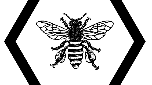 BeeWithHexagon.png