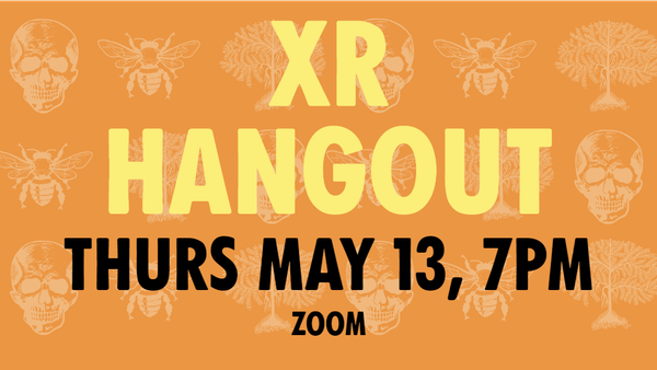 XRHangout_0513.png