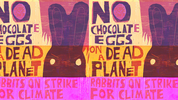 BunyBanner