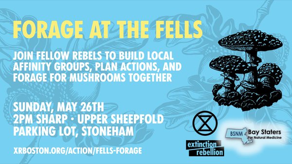 Forage at the Fells