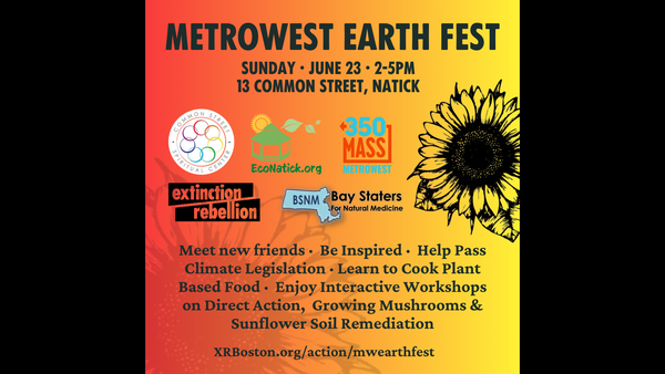 MetroWest Earth Fest Website