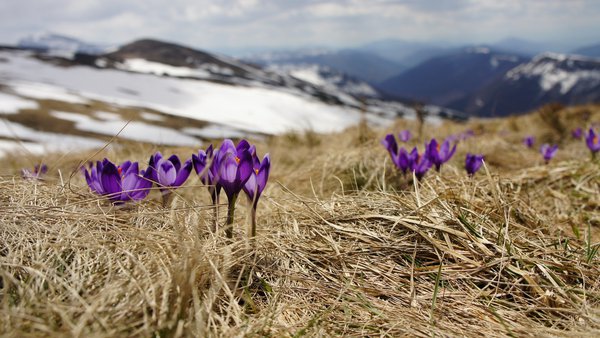 unsplash-image-ZloDJXzcMGA