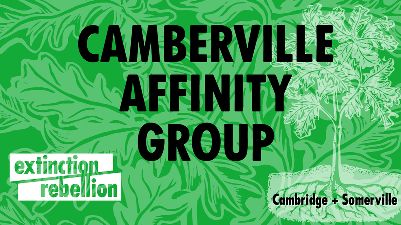 Camberville AG