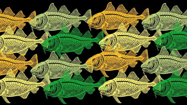 cod black background FB