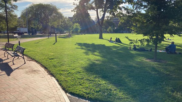 cambridge common