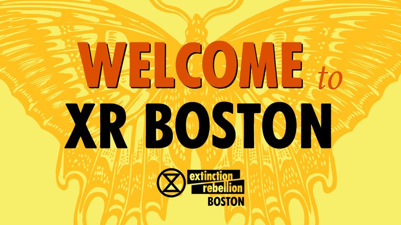 Welcome Call Yellow