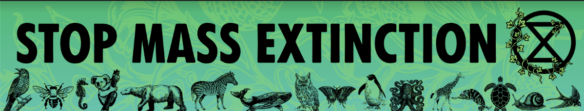 banner.png